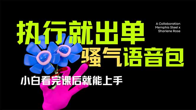 爆火全网的开车导航骚气语音包,只要执行就出单，小白看完课程就能实操…-瀚洪创业网