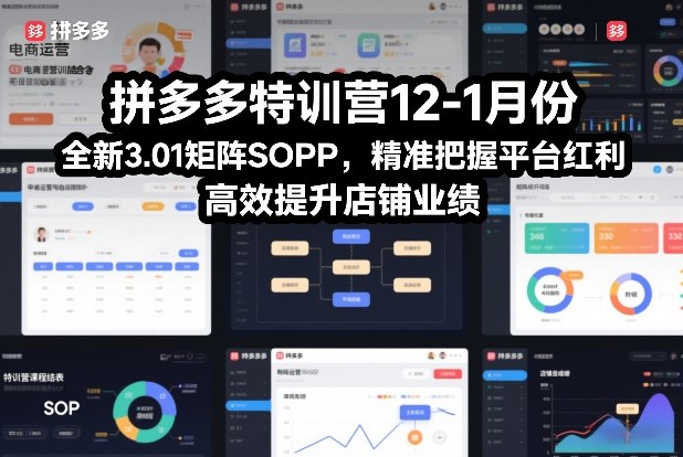 拼多多特训营12-1月份，全新3.01矩阵Sop，精准把握平台红利，高效提升店铺业绩-瀚洪创业网