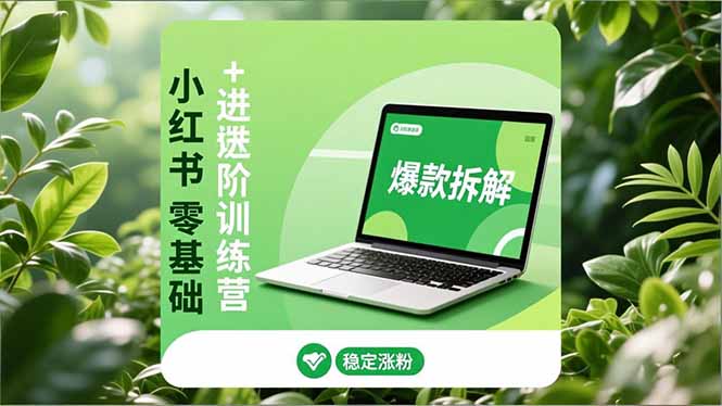 小红书零基础+高阶训练营：安全养号、爆款拆解、长效运营，实现稳定涨粉与变现-瀚洪创业网