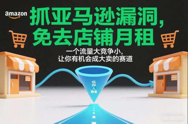 抓亚马逊漏洞，免去店铺月租，一个流量大竞争小，让你有机会成大卖的赛道-瀚洪创业网