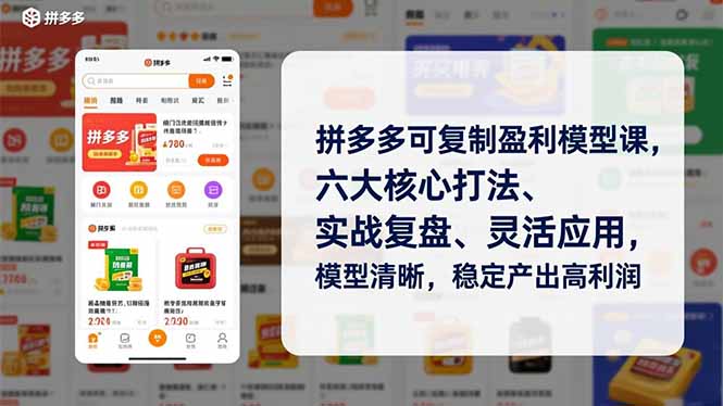 拼多多可复制盈利模型课，六大核心打法、实战复盘、灵活应用，模型清晰，稳定产出高利润-瀚洪创业网