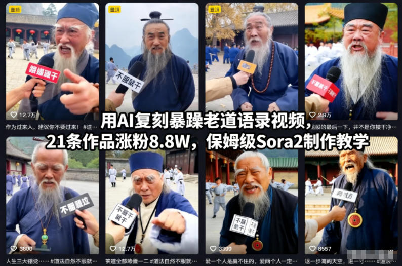 用AI复刻暴躁老道语录视频，21条作品涨粉8.8W，保姆级Sora2制作教学-瀚洪创业网