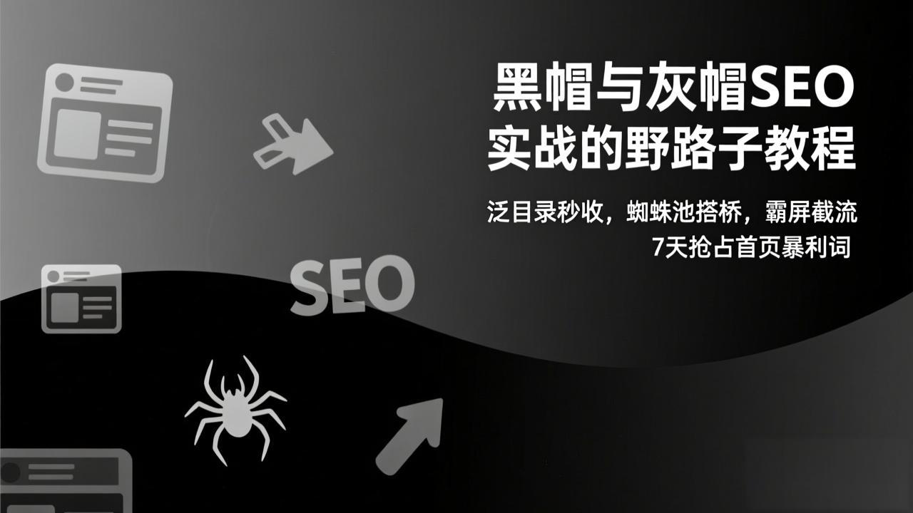 黑帽与灰帽SEO实战的野路子教程：泛目录秒收，蜘蛛池搭桥，霸屏截流，7天抢占首页暴利词-瀚洪创业网