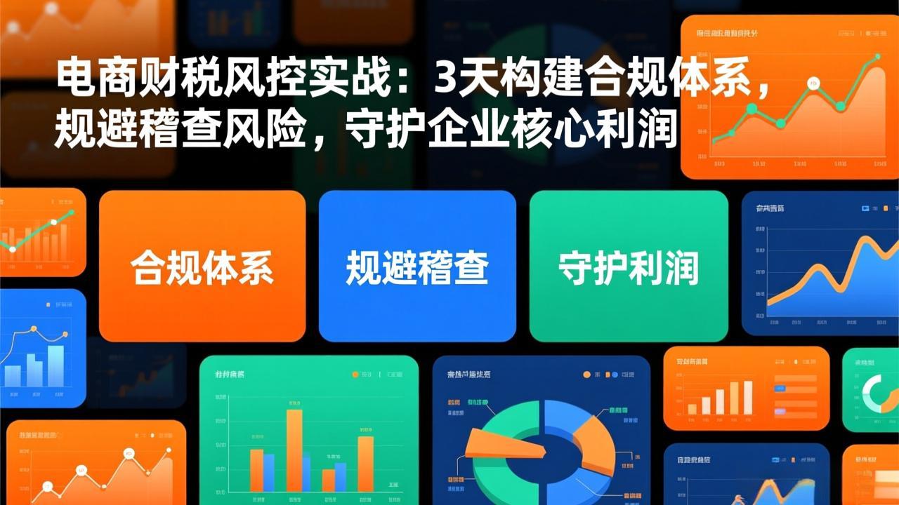 电商财税风控实战：3天构建合规体系，规避稽查风险，守护企业核心利润-瀚洪创业网