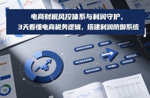 电商财税风控体系与利润守护，3天看懂电商税务逻辑，搭建利润防御系统-瀚洪创业网