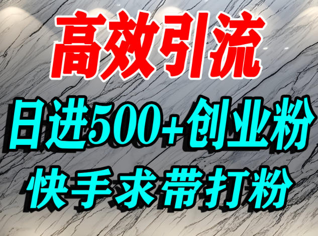 怎么打创业粉？快手求带视角精准引流创业粉，宝妈、学生群体日进500+精准流量-瀚洪创业网
