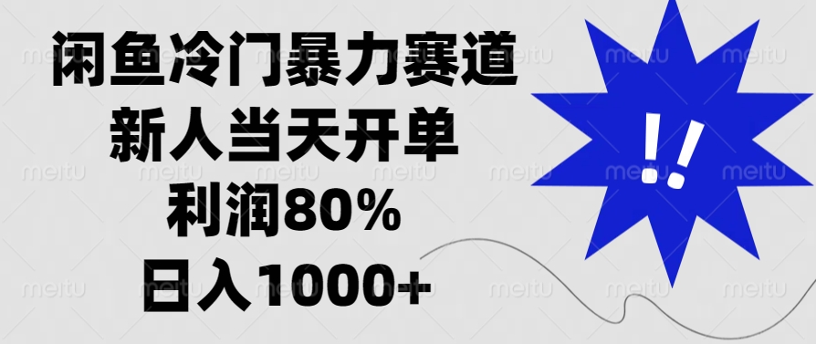 闲鱼冷门暴力赛道，新人当天开单，利润80%，日入1000+-瀚洪创业网