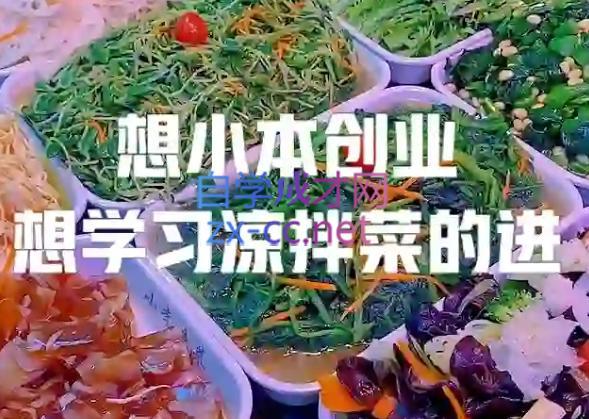 李记·精品凉拌菜系列热卤系列教程-瀚洪创业网