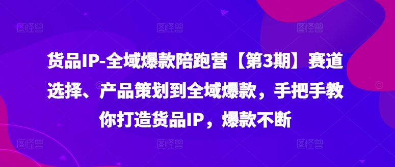 货品IP全域爆款陪跑营【第3期】赛道选择、产品策划到全域爆款，手把手教你打造货品IP，爆款不断-瀚洪创业网