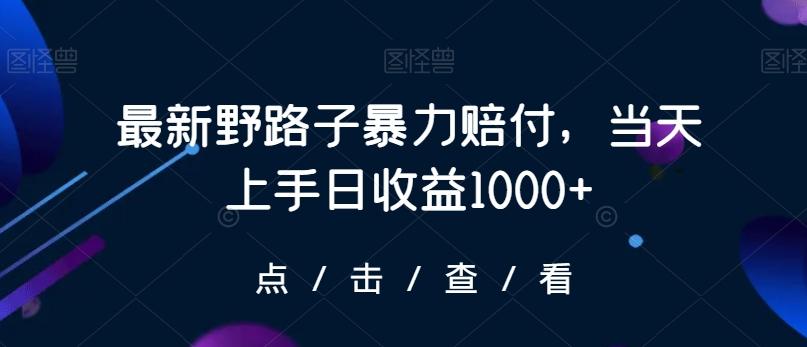 最新野路子暴力赔付，当天上手日收益1000+【仅揭秘】-瀚洪创业网