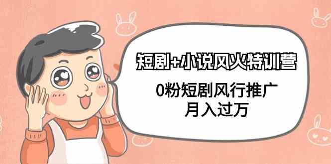 小说+短剧风火特训营，0粉短剧小说风行推广，实现月入过万-瀚洪创业网