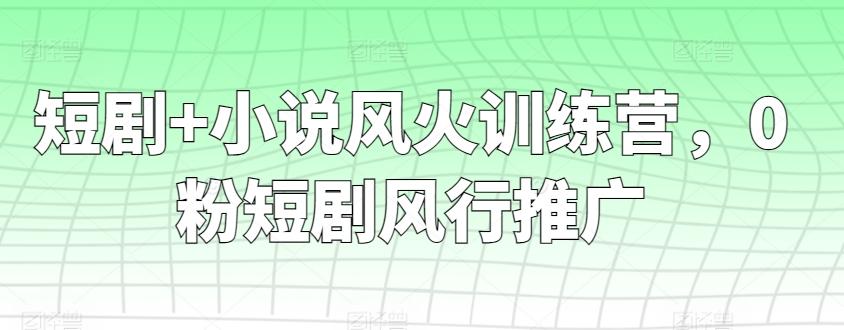 短剧+小说风火训练营，0粉短剧风行推广-瀚洪创业网