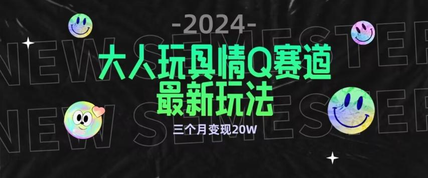 全新大人玩具情Q赛道合规新玩法，公转私域不封号流量多渠道变现，三个月变现20W【揭秘】-瀚洪创业网