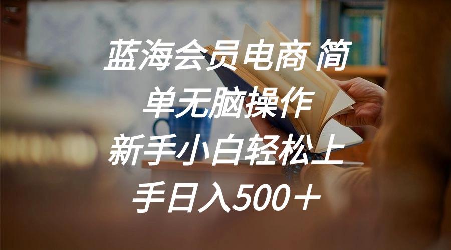 蓝海会员电商 简单无脑操作 新手小白轻松上手日入500＋-瀚洪创业网