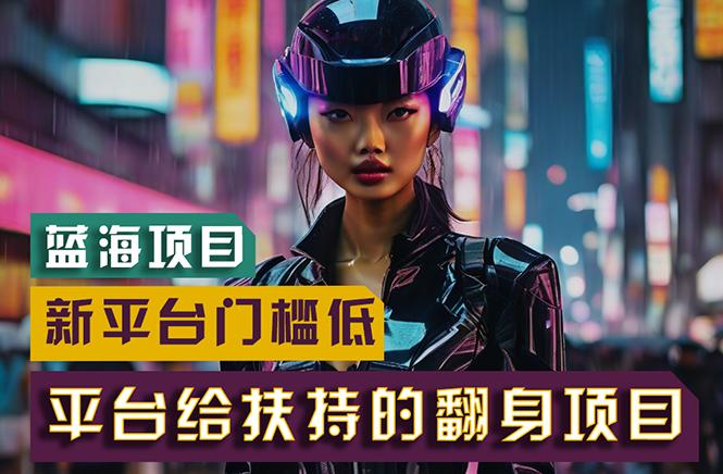 【蓝海项目】新平台无脑搬运，翻身项目 门槛低 小白也能轻松上手 日入500+-瀚洪创业网
