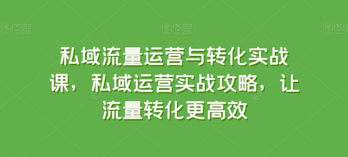 私域流量运营与转化实战课，私域运营实战攻略，让流量转化更高效-瀚洪创业网