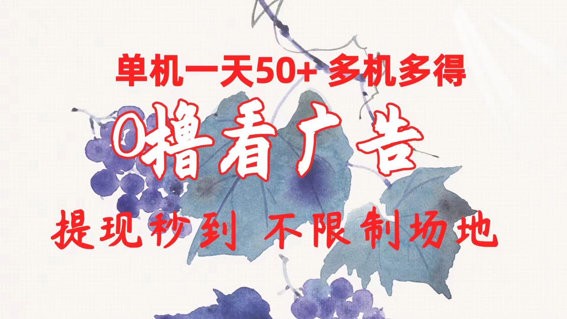 0撸看广告 单机一天50+多机多得 提现秒到 不限制场地操作-瀚洪创业网