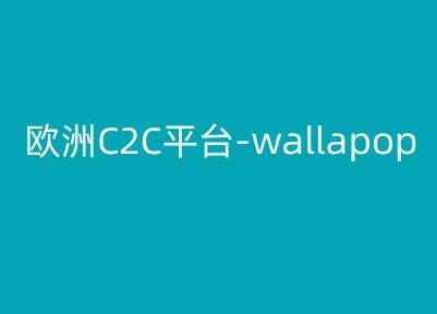 欧洲C2C平台-wallapop-kim跨境电商教程-瀚洪创业网