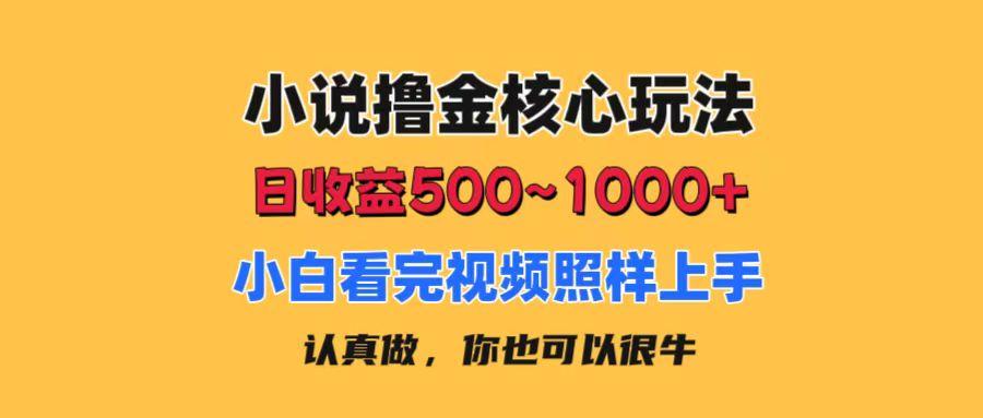 小说撸金核心玩法，日收益500-1000+，小白看完照样上手，0成本有手就行-瀚洪创业网
