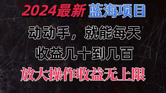 有手就行的2024全新蓝海项目，每天1小时收益几十到几百，可放大操作收…-瀚洪创业网