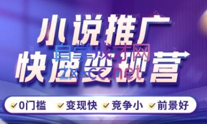 洲洲老师·小说推广快速变现营-瀚洪创业网