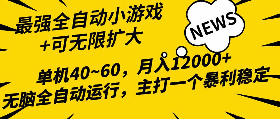 (10046期)2024最新全网独家小游戏全自动，单机40~60,稳定躺赚，小白都能月入过万-瀚洪创业网