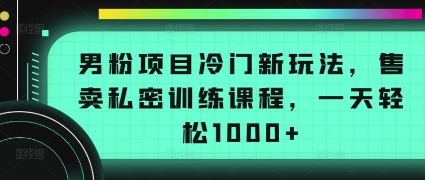 男粉项目冷门新玩法，售卖私密训练课程，一天轻松1000+【揭秘】-瀚洪创业网
