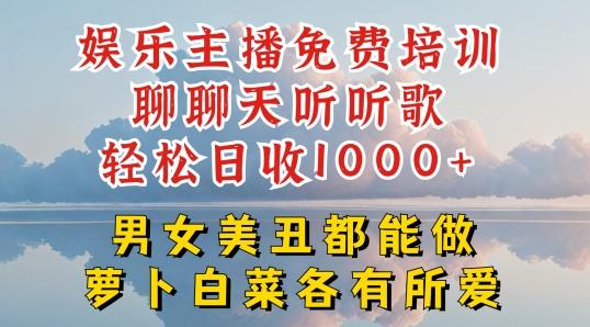 娱乐主播免费培训聊聊天听听歌轻松日收1K+，男女美丑都能做萝卜白菜各有所爱【揭秘】-瀚洪创业网