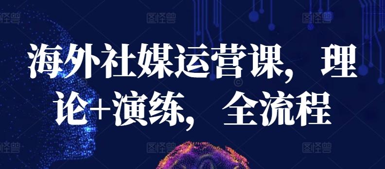 海外社媒运营课，理论+演练，全流程-瀚洪创业网