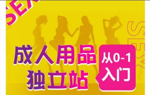 成人用品独立站从0-1入门，成品独立站运营全流程教学，七大好卖成品独立站推荐-瀚洪创业网