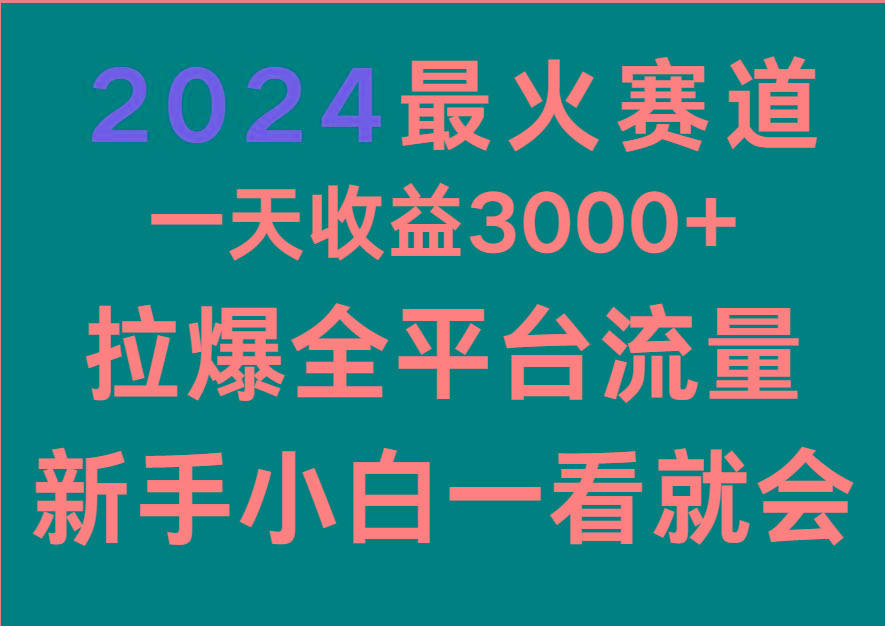 2024最火赛道，一天收一3000+.拉爆全平台流量，新手小白一看就会-瀚洪创业网