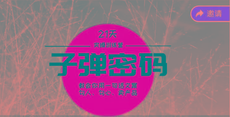 《子弹密码训练营》-用一句话文案勾人勾心卖产品，21天学到顶尖文案大师策略和技巧-瀚洪创业网