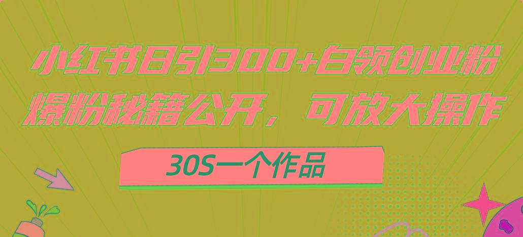 小红书日引300+高质白领创业粉，可放大操作，爆粉秘籍！30s一个作品-瀚洪创业网