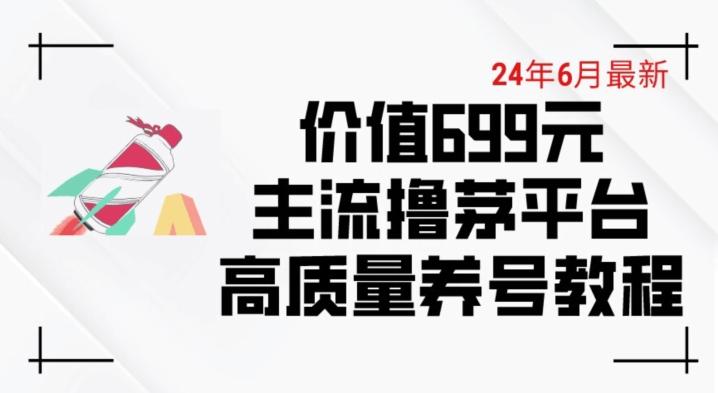 6月最新价值699的主流撸茅台平台精品养号下车攻略【揭秘】-瀚洪创业网