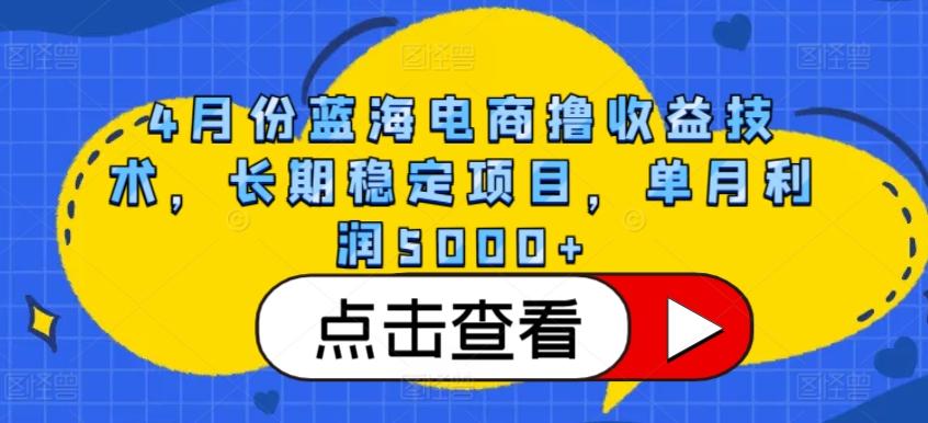 4月份蓝海电商撸收益技术，长期稳定项目，单月利润5000+【揭秘】-瀚洪创业网