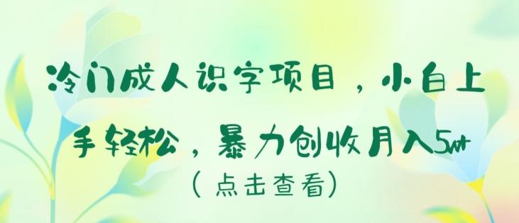 冷门成人识字项目，小白上手轻松，暴力创收月入5w+【揭秘】-瀚洪创业网