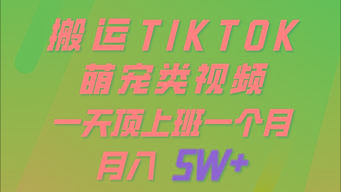 (9931期)一键搬运TIKTOK萌宠类视频 一部手机即可操作 所有平台均可发布 轻松月入5W+-瀚洪创业网