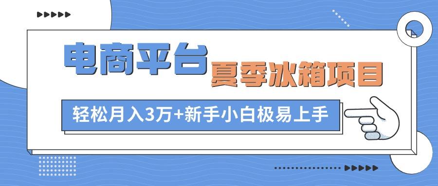 电商平台夏季冰箱项目，轻松月入3万+，新手小白极易上手-瀚洪创业网