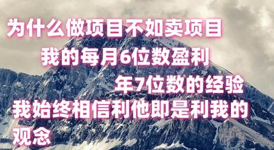 做项目不如卖项目，每月6位数盈利，年7位数经验-瀚洪创业网