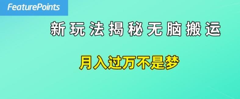 简单操作，每天50美元收入，搬运就是赚钱的秘诀【揭秘】-瀚洪创业网