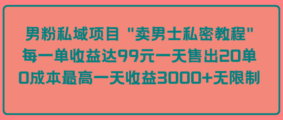 (9730期)男粉私域项目 “卖男士私密教程” 每一单收益达99元一天售出20单-瀚洪创业网