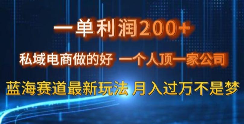 一单利润200私域电商做的好，一个人顶一家公司蓝海赛道最新玩法【揭秘】-瀚洪创业网
