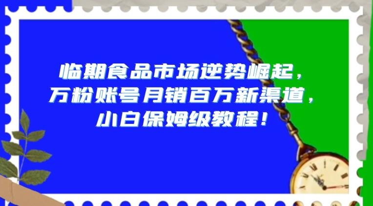 临期食品市场逆势崛起，万粉账号月销百万新渠道，小白保姆级教程【揭秘】-瀚洪创业网