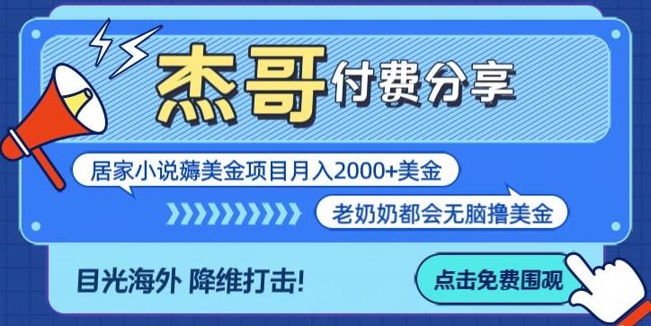 拆解海外撸美金项目月入2000美刀详细指导-瀚洪创业网