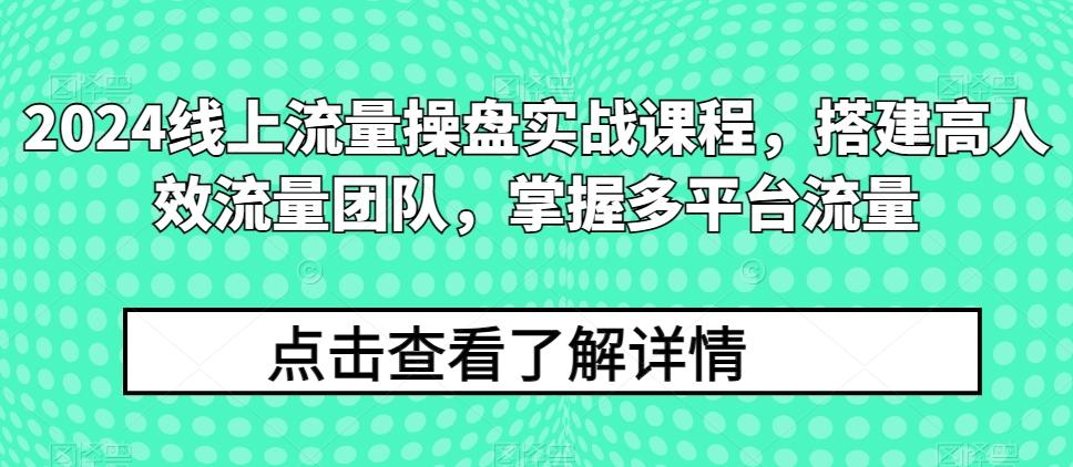2024线上流量操盘实战课程，搭建高人效流量团队，掌握多平台流量-瀚洪创业网