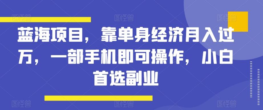 蓝海项目，靠单身经济月入过万，一部手机即可操作，小白首选副业【揭秘】-瀚洪创业网