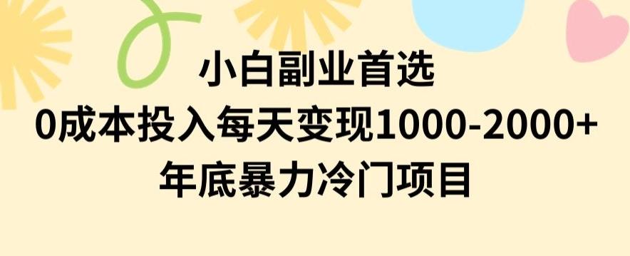小白副业首选，0成本投入，每天变现1000-2000年底暴力冷门项目【揭秘】-瀚洪创业网