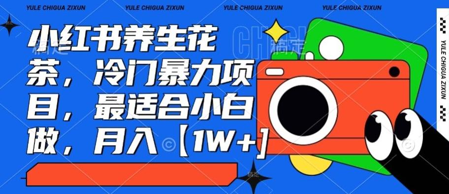 小红书养生花茶，冷门暴力项目，最适合小白做，月入【1W+】-瀚洪创业网