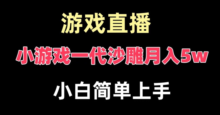 玩小游戏一代沙雕月入5w，爆裂变现，快速拿结果，高级保姆式教学【揭秘】-瀚洪创业网