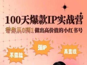 小红书100天爆款IP实战营，带你从0到1做出高价值的小红书号-瀚洪创业网